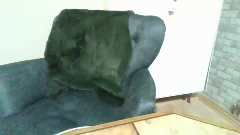 Palo313 online show from 3, 11, 2025