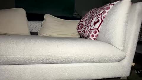 knautyknight online show from 12, 10, 2025