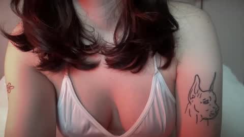 knextdoor online show from 1, 4, 2026