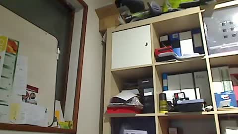 Snapshot of kokin3034 chatting on 8, 1, 2025 kokin3034 online show from 8, 1, 2025