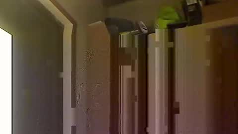 Snapshot of kokin3034 chatting on 8, 10, 2025 kokin3034 online show from 8, 10, 2025