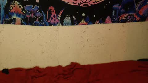 konekokawai online show from 12, 2, 2025