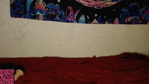 konekokawai online show from 13, 2, 2025