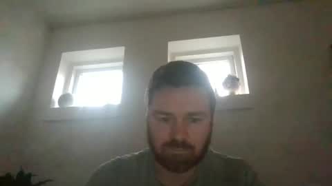 kongs3 online show from 17, 12, 2024