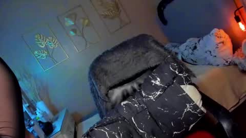 MISS ALICIA online show from 11, 12, 2024