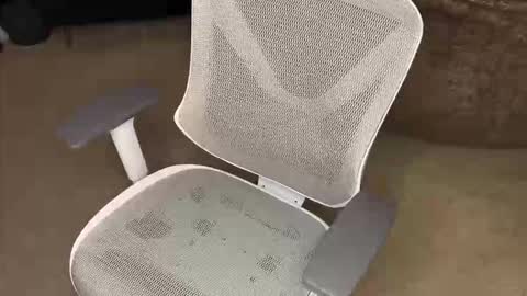 Snapshot of koryoncam chatting on 16, 12, 2025 your hairy neighbor online show from 16, 12, 2025