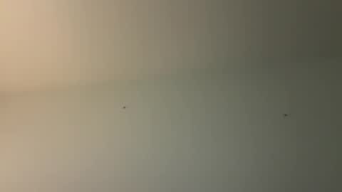 kovapoika online show from 23, 10, 2025