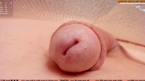 Snapshot of kpetra chatting on 19, 2, 2026 Petra online show from 19, 2, 2026