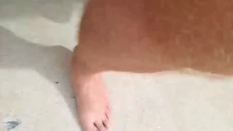 Snapshot of kramit1222 chatting on 24, 9, 2025 kramit1222 online show from 24, 9, 2025