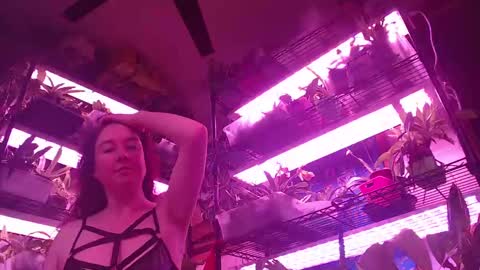 krookedorchid online show from 19, 10, 2025