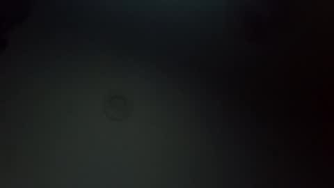 krsfee1 online show from 20, 2, 2025