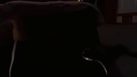 kshies4220 online show from 9, 1, 2026