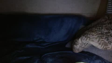 Snapshot of kylechat chatting on 4, 4, 2026 Kyle chat online show from 4, 4, 2026