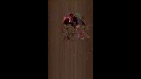 laceysuxx online show from 6, 6, 2026