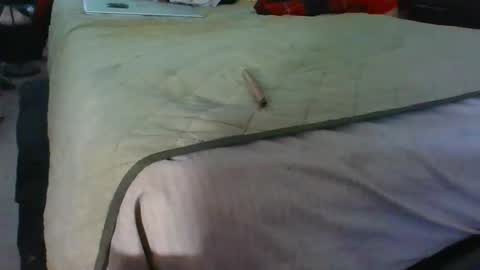 lachickadelbronx online show from 5, 1, 2025