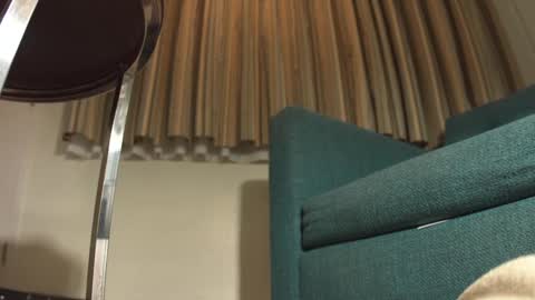 Snapshot of lacub chatting on 19, 2, 2025 lacub online show from 19, 2, 2025