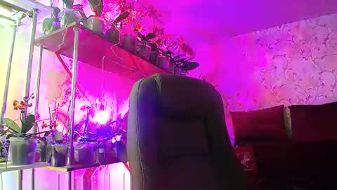 Snapshot of lady_gloria chatting on 5, 3, 2025 Lady Gloria online show from 5, 3, 2025