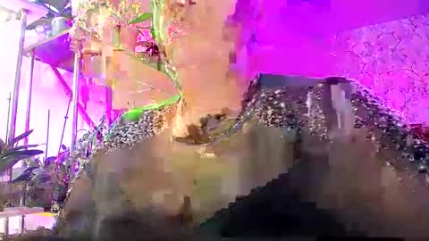 Snapshot of lady_gloria chatting on 25, 10, 2025 Lady Gloria online show from 25, 10, 2025