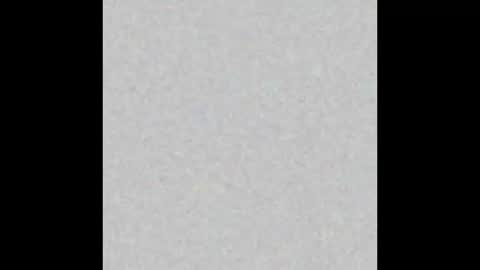 Snapshot of lahurent_weed420 chatting on 12, 11, 2025 paola and a guest lol online show from 12, 11, 2025