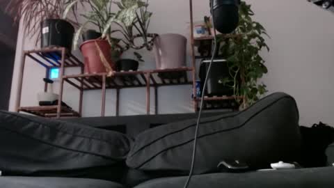 Rick online show from 11, 12, 2024