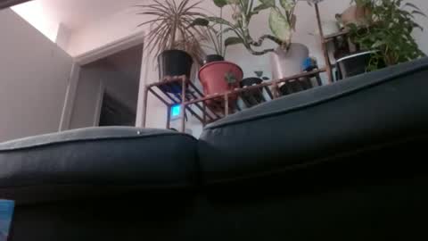 Rick online show from 1, 2, 2025