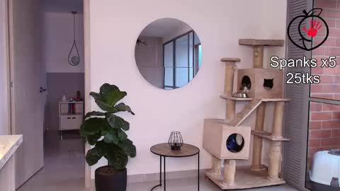 Laira online show from 11, 2, 2026