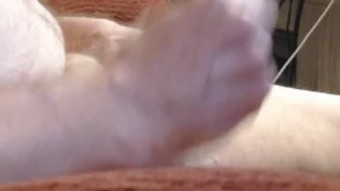 Snapshot of laststeven chatting on 17, 12, 2024 laststeven online show from 17, 12, 2024