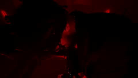 Snapshot of latex__buddy chatting on 3, 3, 2026 latex__buddy online show from 3, 3, 2026