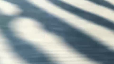 latinlover199518 online show from 9, 5, 2026