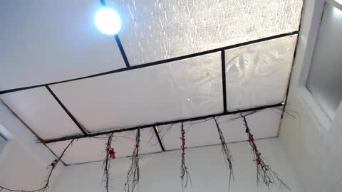 Snapshot of laura_candy02 chatting on 23, 3, 2026 LAURA online show from 23, 3, 2026