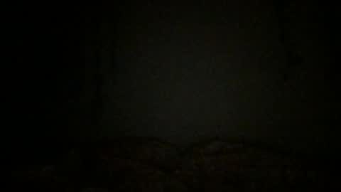 Snapshot of lavender_lulu chatting on 11, 3, 2025 Little Lulu online show from 11, 3, 2025