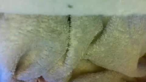 Snapshot of layannalea chatting on 9, 4, 2026 layannalea online show from 9, 4, 2026