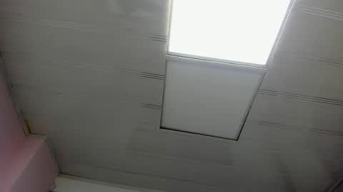 Snapshot of leamoreau__ chatting on 8, 11, 2025 leamoreau__ online show from 8, 11, 2025