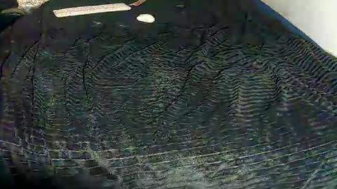 Snapshot of leatherman31 chatting on 10, 11, 2025 leatherman31 online show from 10, 11, 2025