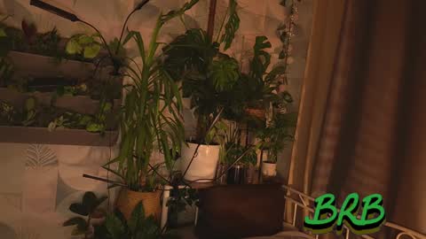 leekta online show from 7, 12, 2024