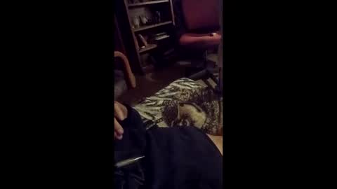 Snapshot of leftyusatisfied chatting on 6, 4, 2026 leftyusatisfied online show from 6, 4, 2026