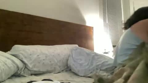 Snapshot of legallybrun91 chatting on 25, 6, 2026 legallybrun91 online show from 25, 6, 2026