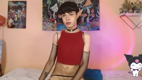 Lejo online show from 15, 1, 2026