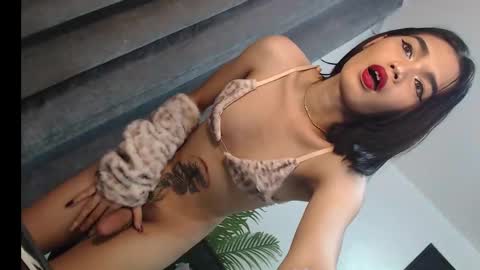 Trisha18 online show from 1, 3, 2025