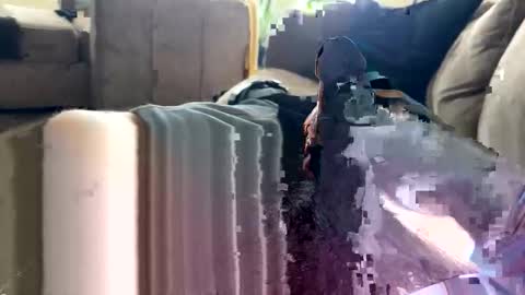 letgetnaughty12345 online show from 24, 3, 2026