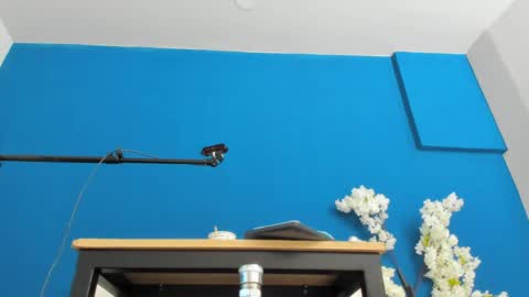 Snapshot of letty_straus chatting on 22, 5, 2026 Maria Jose online show from 22, 5, 2026