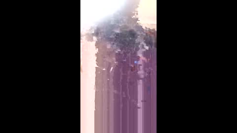 levis501bandant online show from 17, 1, 2026