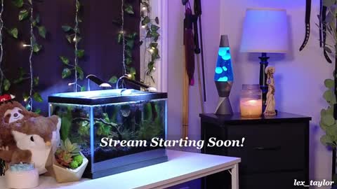 Snapshot of lex_taylor chatting on 9, 1, 2025 Lex online show from 9, 1, 2025