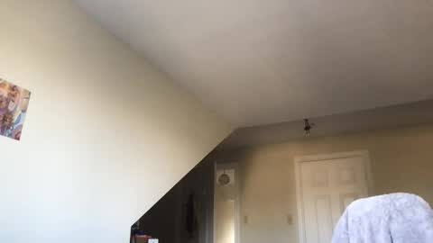 lexie online show from 12, 9, 2025