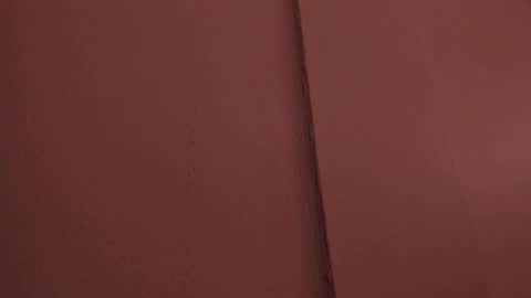 Snapshot of lia_ass chatting on 29, 3, 2026 Liss 3 online show from 29, 3, 2026