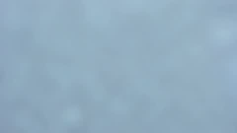 . online show from 1, 2, 2025