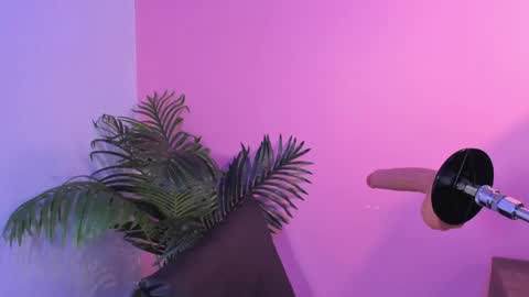 Snapshot of lia_owenss chatting on 6, 6, 2026 lia_owenss online show from 6, 6, 2026