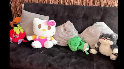 Snapshot of lia_rip01 chatting on 17, 10, 2025 lia_rip01 online show from 17, 10, 2025