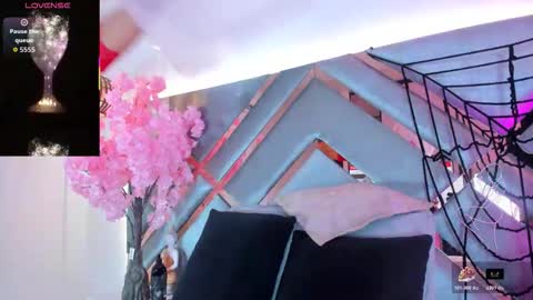 Liaa online show from 3, 11, 2025