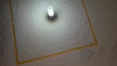 Snapshot of lianfox_ chatting on 11, 7, 2026 lianfox_ online show from 11, 7, 2026